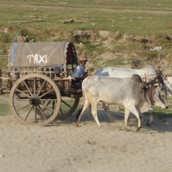 Chanida Nilat
